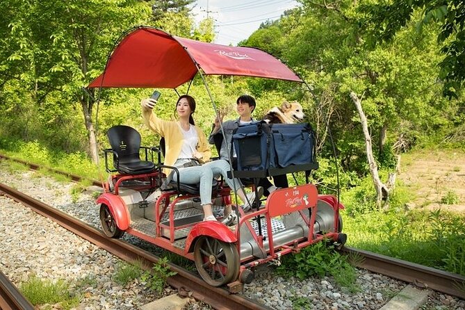 Nami Island & Petite France & Italian Village & Gangchon Rail Bike One-Day Tour - Who should book this day trip?