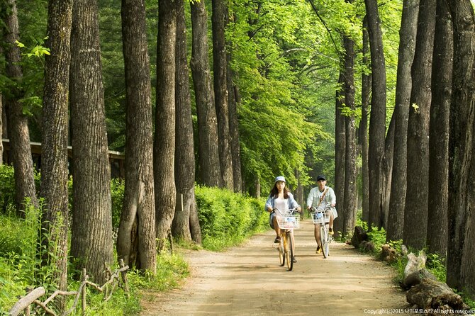 Nami Island Trip with Petite France & Italian Village and Gangchon Rail Bike - Nami Island deserves the longest visit