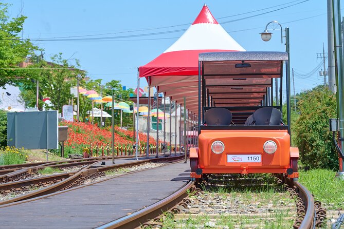 Nami Island Trip with Petite France & Italian Village and Gangchon Rail Bike - What the $80.95 price really covers