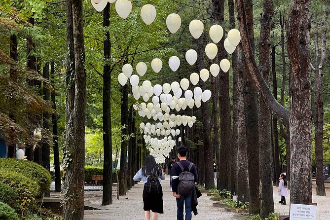 Nami Island Trip with Petite France & Italian Village and Gangchon Rail Bike - Who should choose this tour?