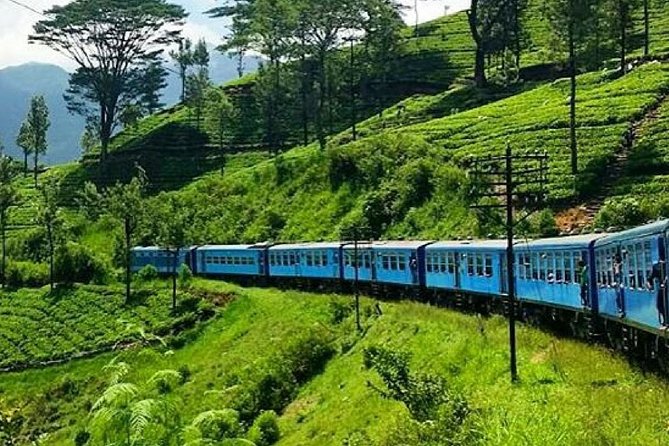 Nanu Oya to Ella train ride on (Train No: 1005 "Podi Menike") - Key points to know before booking