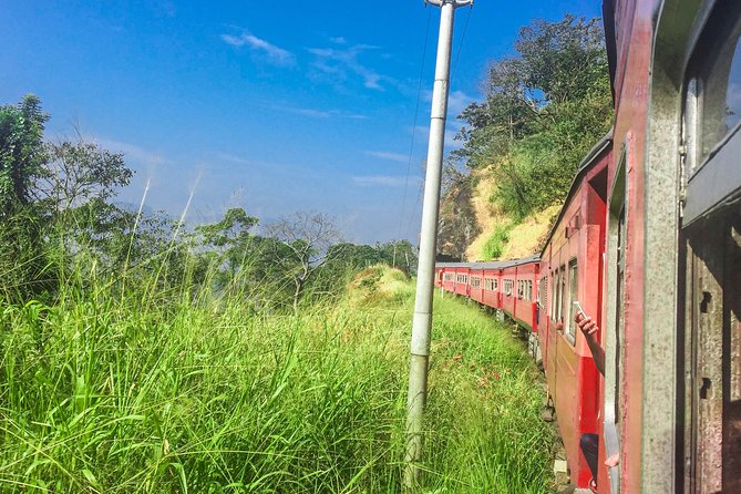 Nanu Oya to Kandy train ride on (Train No: 1016 "Udarata Menike") - Is the $35 price good value?