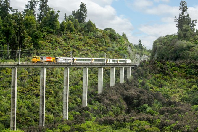 Northern Explorer Train Journey from Auckland to Wellington - Waikato farmland and the quiet start of the day