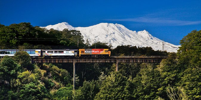 Northern Explorer Train Journey from Auckland to Wellington - Café food, coffee, and onboard service