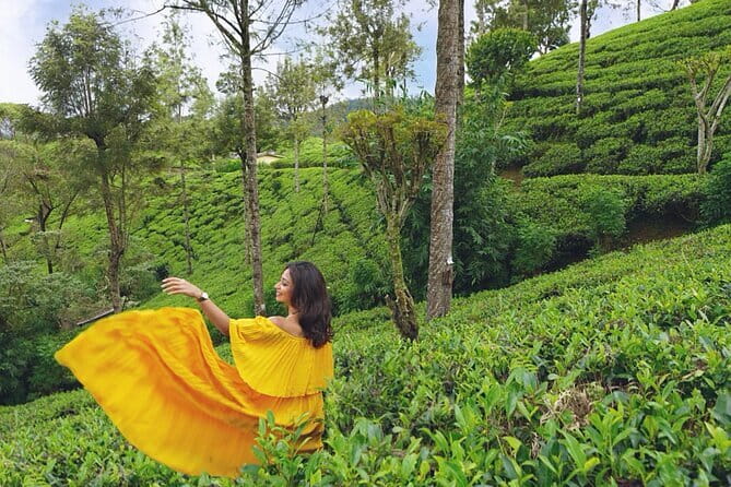 Nuwara Eliya Highlights: Waterfall, Tea & Picturesque Train Ride - Why this long day works from Kandy