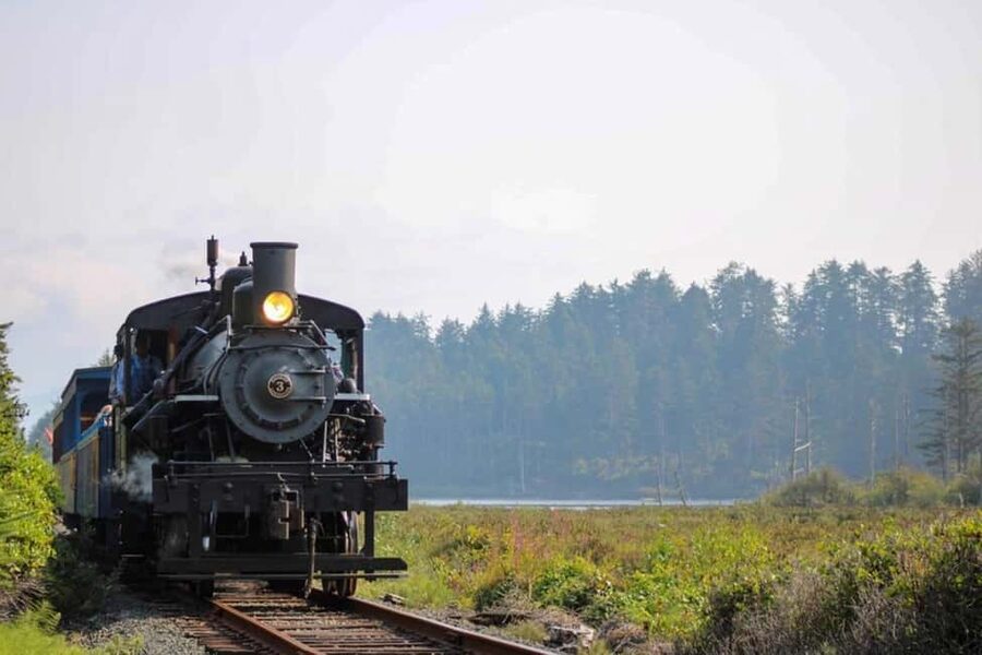 Oregon Coast: Scenic Railroad Excursion Along Coastline - Key Details Before You Ride