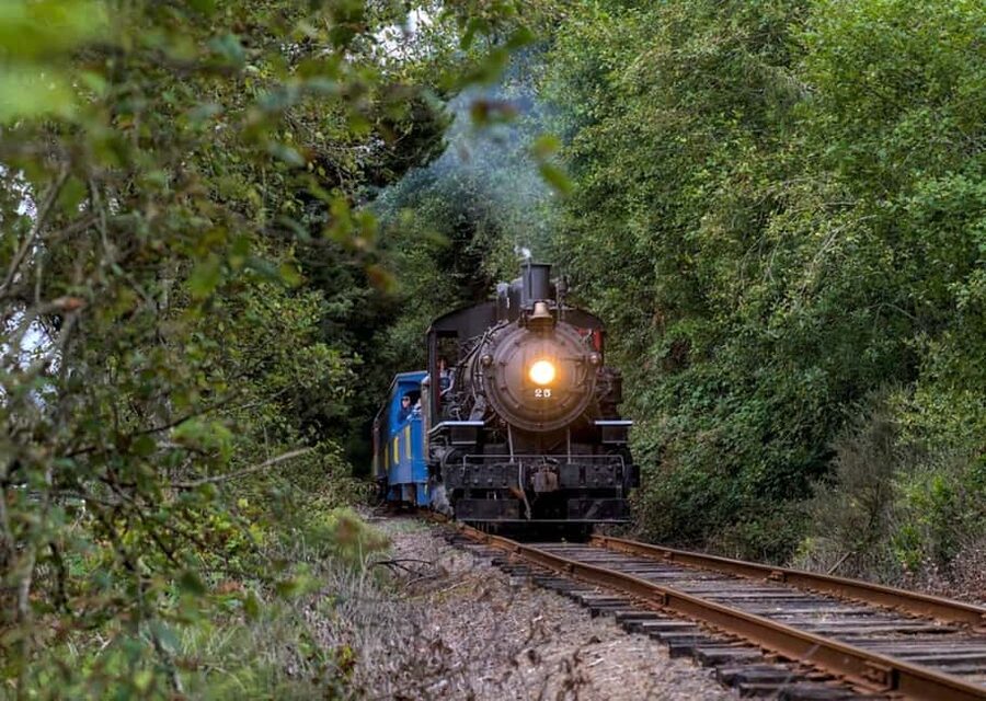 Oregon Coast: Scenic Railroad Excursion Along Coastline - Who Will Enjoy This Oregon Coast Train Ride