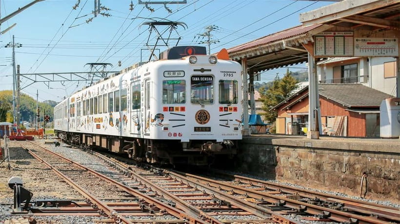 Osaka: Wakayama Cat Train, Seafood market, Hot Springs Tour - The day’s best moments at a glance