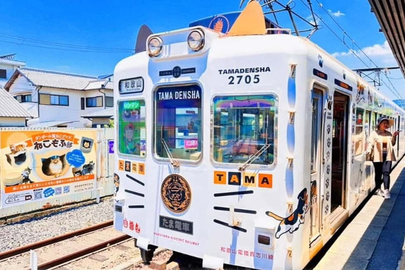 Osaka: Wakayama Cat Train, Seafood market, Hot Springs Tour - Why this unusual Wakayama day trip works