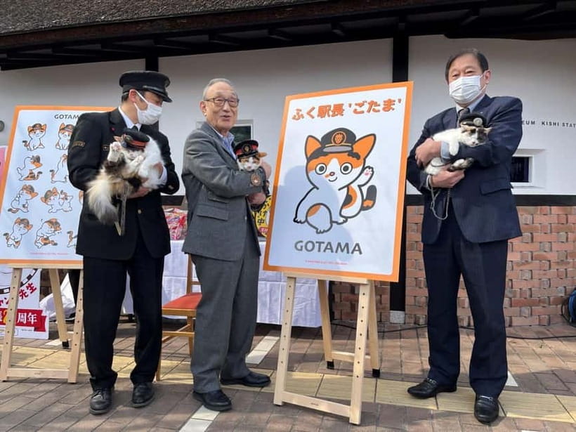 Osaka: Wakayama Cat Train, Seafood market, Hot Springs Tour - Kishi Station and Tama’s small railway miracle