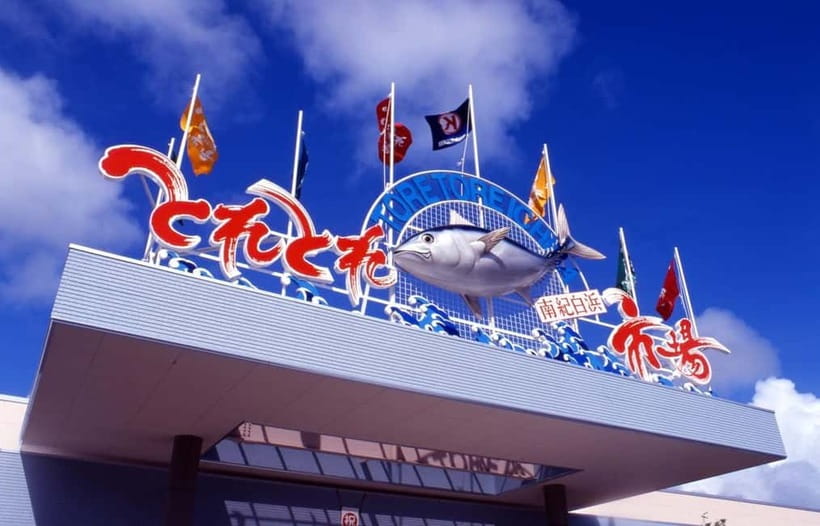 Osaka: Wakayama Cat Train, Seafood market, Hot Springs Tour - Sandanbeki Cave and the pirate stories below