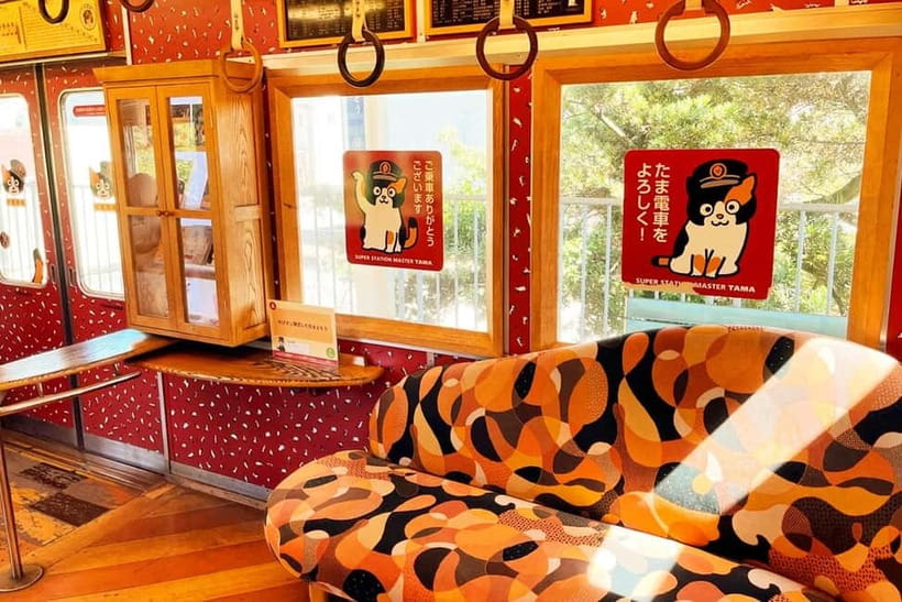 Osaka: Wakayama Cat Train, Seafood market, Hot Springs Tour - Meeting at Nipponbashi and settling into the bus