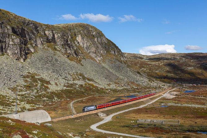 Oslo To Bergen Self-Guided Full Day Trip with Flåm Railway And Fjord Cruise - The Bergen Railway to Myrdal