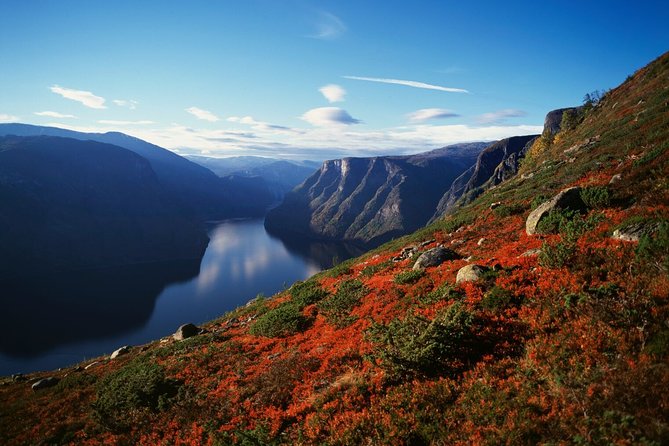 Oslo To Bergen Self-Guided Full Day Trip with Flåm Railway And Fjord Cruise - Starting at Oslo Central Station