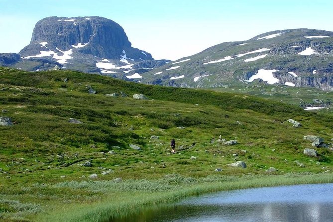 Oslo To Sognefjord Private Full Day Roundtrip Including Flam Railway - The guides can make or break the day