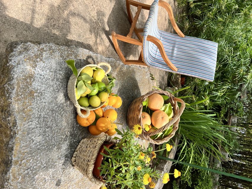 Palma: Orange Valley Vintage Train and Orange Farm Tour - Key things to know before booking