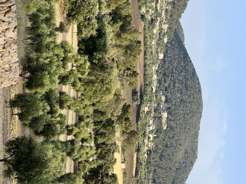 Palma: Orange Valley Vintage Train and Orange Farm Tour - Why this Mallorca day trip works