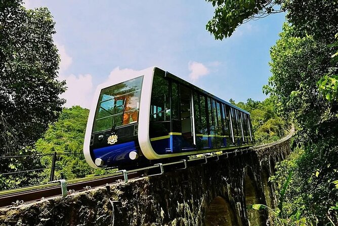 Penang City & temple Tour with Penang Hill Train Fast Lane Ticket - Two Buddhist temples bring different visual styles