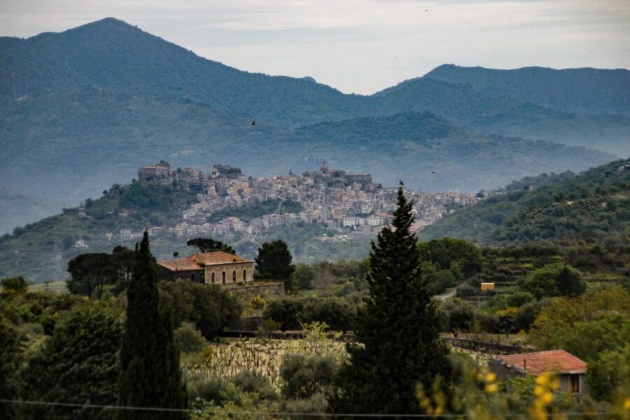 Piedimonte Etneo: Etna Wine Train Tour & Sicily Wine tasting - Returning to Piedimonte Etneo by 4 p.m.