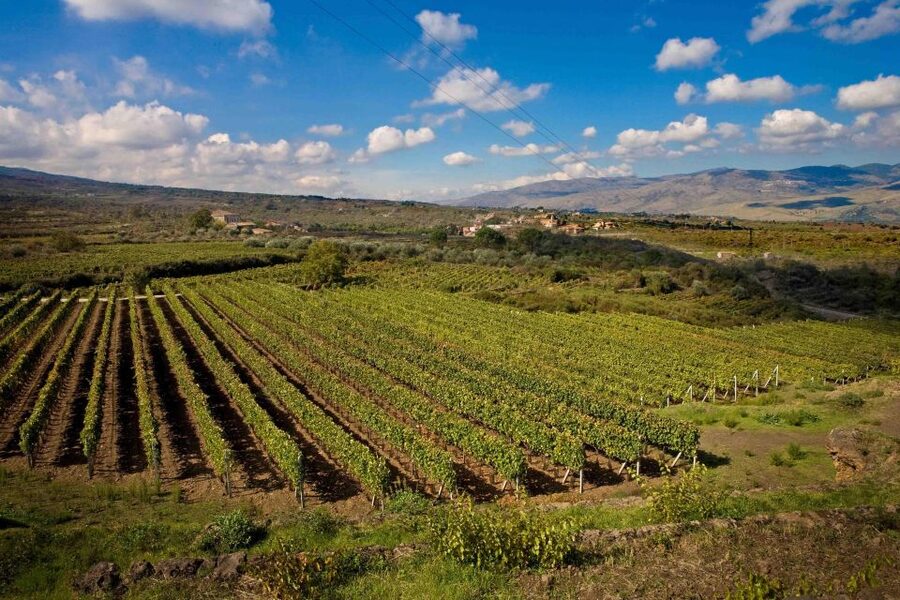 Piedimonte Etneo: Etna Wine Train Tour & Sicily Wine tasting - Starting at Piedimonte Etneo at 9 a.m.