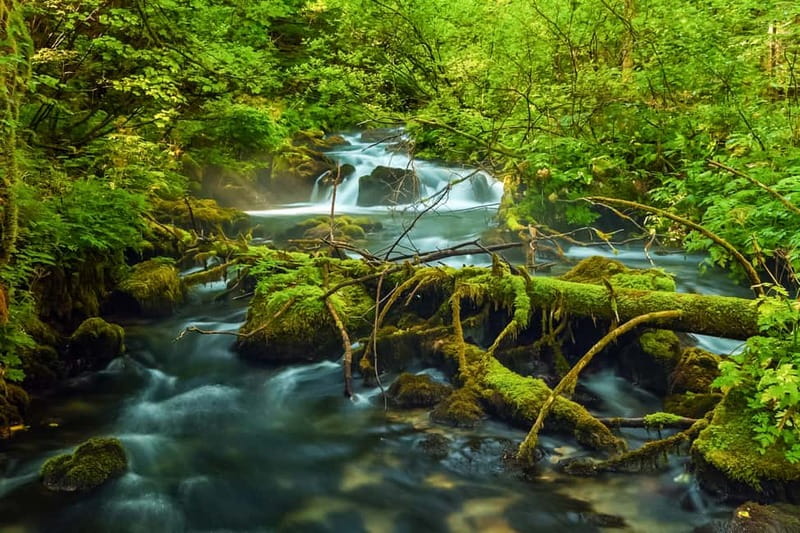 Plitvice Lakes: Guided Walking Tour with Train and Boat Ride - Key points to know before you book