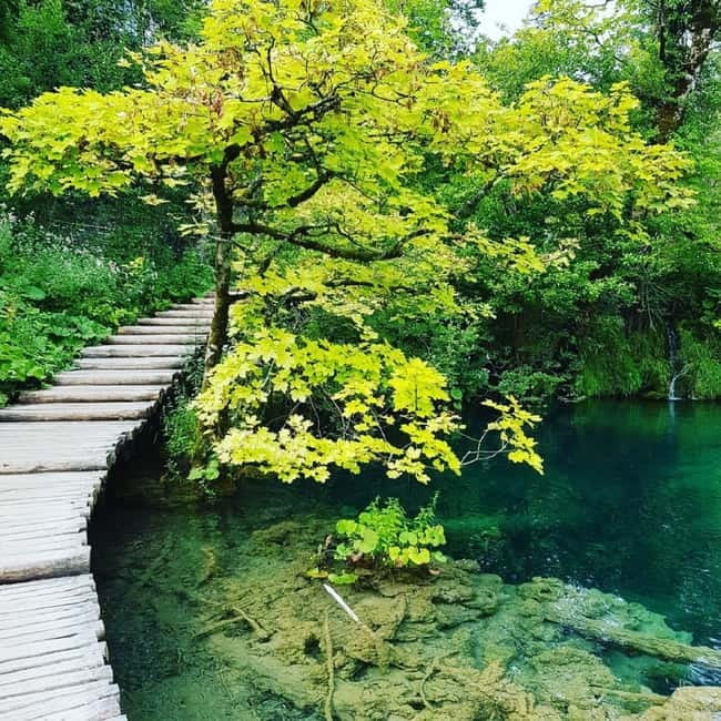 Plitvice Lakes National Park: Walking, Boat, and Train Tour - Why this Plitvice tour works well
