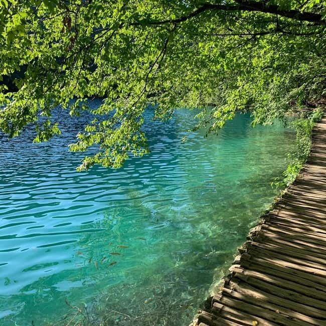 Plitvice Lakes National Park: Walking, Boat, and Train Tour - The panoramic train and final viewpoints
