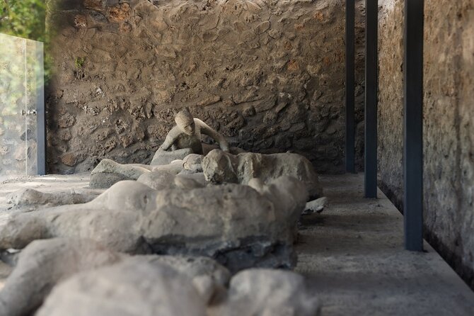 Pompeii Express Day Trip: High-Speed Train from Rome - Napoli Centrale to Pompeii by private coach