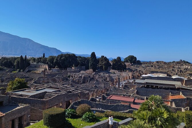 Pompeii Express Day Trip: High-Speed Train from Rome - The return through Naples to Rome