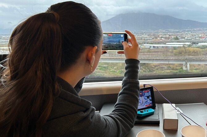 Pompeii Express Day Trip: High-Speed Train from Rome - Is $149 a fair price?