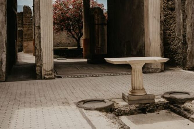 Pompeii Guided Tour with Train Included from Rome - The Naples transfer takes patience