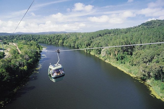 Port Douglas: Kuranda tour with Skyrail or Scenic Train - Palm Cove brings the day back to sea level