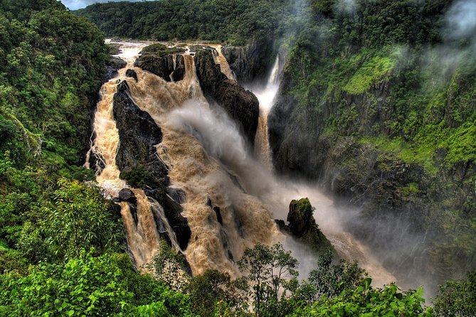 Port Douglas: Kuranda tour with Skyrail or Scenic Train - Who will enjoy this Kuranda tour most?