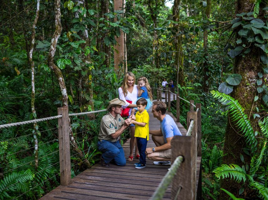 Port Douglas: World Heritage Forest by Skyrail & Scenic Rail - Who will enjoy this day most?