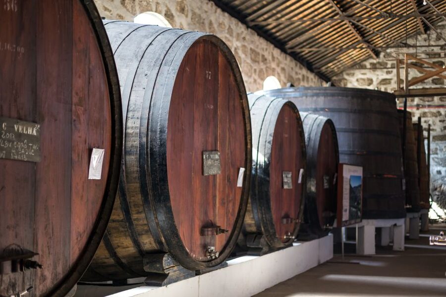 Porto: City Train Tour, River Cruise & Wine Cellar - Final verdict: a good first taste of Porto