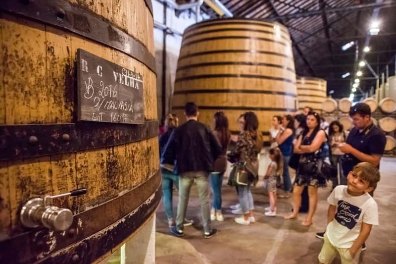 Porto: Magic Train Tour and Port Wine Cellar with Tastings - Key points before you book