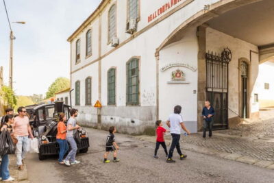 Magic Train Tour and Port Wine Cellar with Tastings