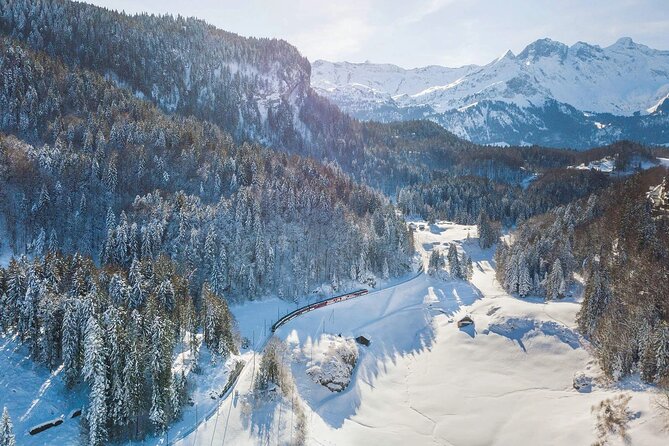 Premium Panoramic Train, Lucerne Old Town and Interlaken Tour - What the $411.05 price includes