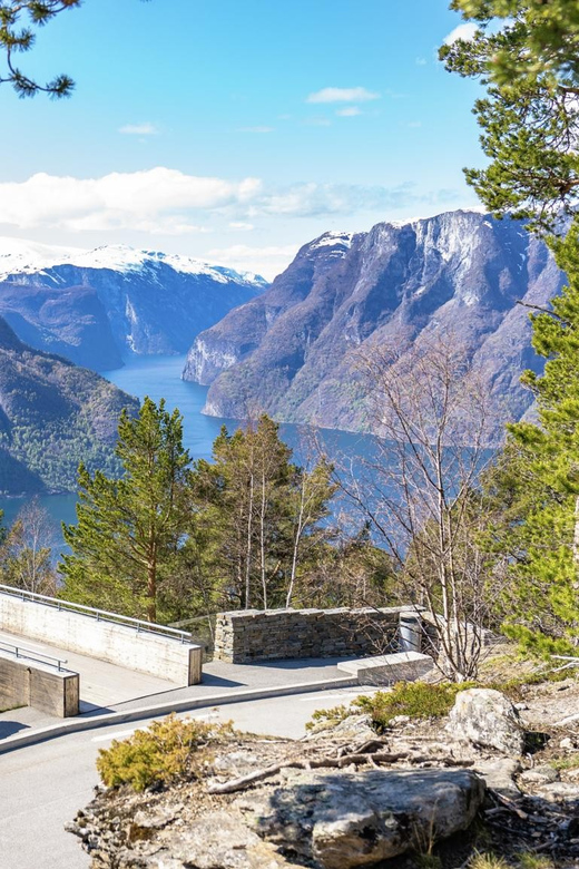 Private Day Tour- Flam Railway & Fjord Cruise From Bergen - A useful hour in Flåm