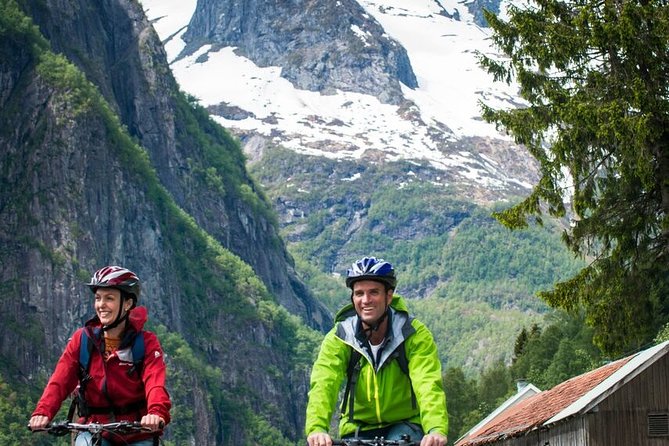 Private Full-Day Round Trip from Oslo to Sognefjord via Flåm Railway - Myrdal to Geilo and the Return to Oslo