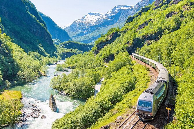 Private Guided Tour to Oslo Nærøyfjord Cruise and Flåm Railway - Why this route works as a one-way transfer
