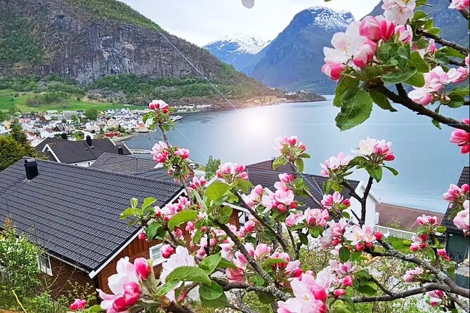 Private Guided Tour to Oslo Nærøyfjord Cruise and Flåm Railway - The Flåm Railway, from fjord to mountain