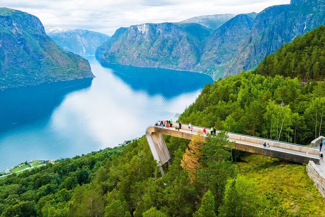 Private Guided Tour to Oslo Nærøyfjord Cruise and Flåm Railway - Myrdal to Oslo on the Bergen Railway