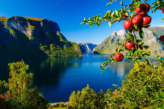Private tour, Bergen to Oslo - Nærøyfjord Cruise & Flåm Railway - Who will enjoy this trip most?