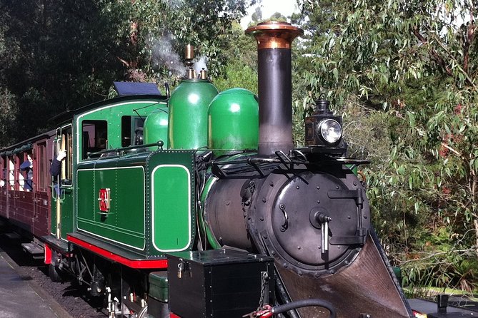 [Private Tour] Healesville Sanctuary Wildlife & Puffing Billy Steam Train - Guide style can shape the whole day