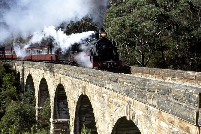 [Private Tour] Healesville Sanctuary Wildlife & Puffing Billy Steam Train - Healesville Sanctuary and Australia’s native animals