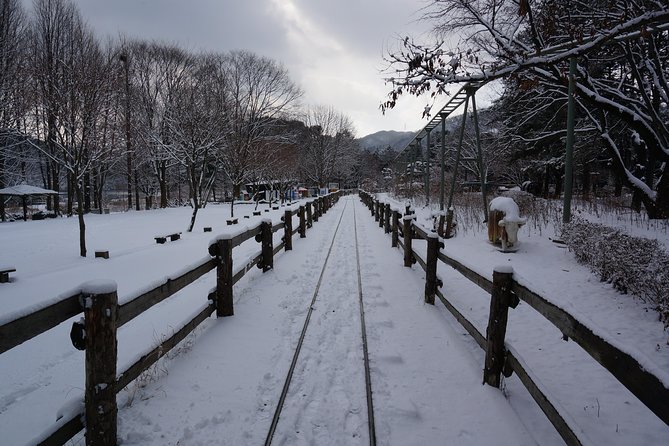 Private Tour Rail Bike & Nami Island & (Petite France or Garden of Morning Calm) - Choosing Petite France for photos and K-drama connections
