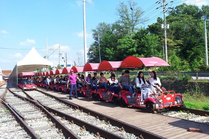Private Tour Rail Bike & Nami Island & (Petite France or Garden of Morning Calm) - How the private format changes the day