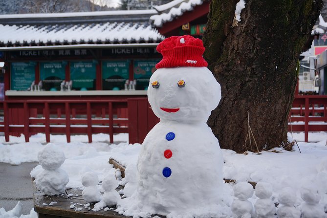 Private Tour Rail Bike & Nami Island & (Petite France or Garden of Morning Calm) - Leaving Seoul for Nami Island