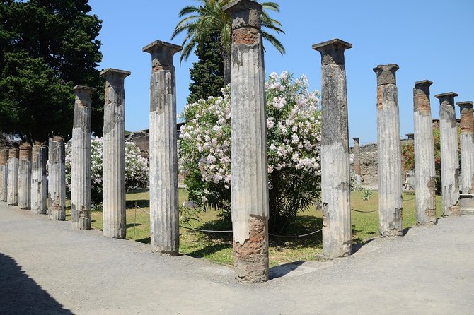Private Tour Rome to Pompeii in private vehicle or fast train - Casa del Menandro and Pompeii at Home